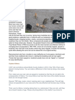 FeralCatArticle PDF