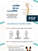 Columna Corregido - G5 SG2