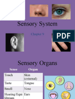 Sensory Systems Kd12