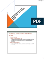 Public Sector Auditing