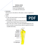 Femoral Nerve It Is Marked by Joining The Following Two Points
