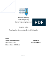 Upgrading of Phosphate Ore by Partial Acidulation