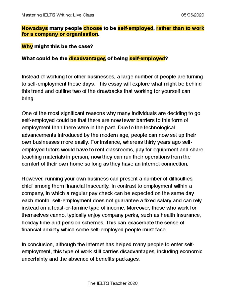 Self-Employment Webinar Essay | PDF | Career & Growth | Business