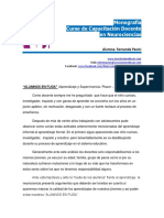 Monografia Neurociencias Fernanda.pasini (1)