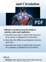 Blood and Circulation