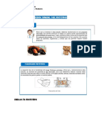 Design Thinking Prototipo 1°y2°