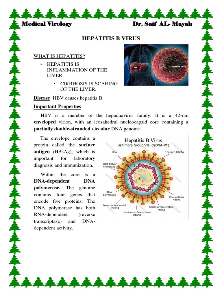 Hepatitis B & C & D Virus | PDF | Hepatitis B | Hepatitis C Virus