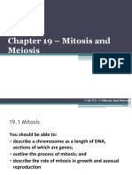  Mitosis and Meiosis