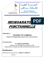Neuroanatomie fonctionnelle 