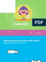 Prueba CEDI