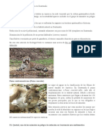 Animales en Peligro de Extinción en Guatemala