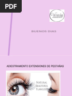 Teoría y Técnicas de Extensiones de Pestañas | PDF