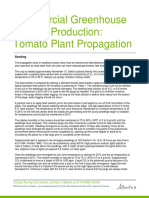 Commercial Greenhouse Tomato Production: Tomato Plant Propagation