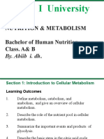 Cellular Metabolism and the Nutrient Pool