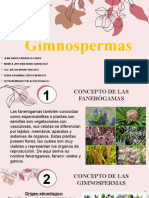 Gimnospermas