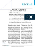 Transport and interactions of nenoparciles in the kidneys