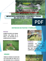 Importancia de Los Pastos y Forrajes 2019 PDF