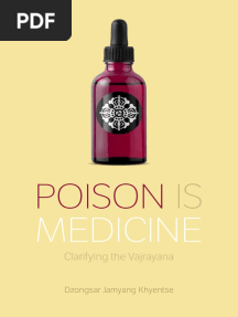 Dzongsar Khyentse Rinpoche - Poison Is Medicine
