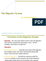 The Digestive System: Dr. Ali Ebneshahidi