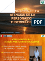 TEMA 1° ORGANIZACION DE LA ATENCION A LA PERSONA AFECTADA POR TUBERCULOSIS