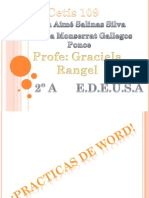 Practicas de Word y Excel