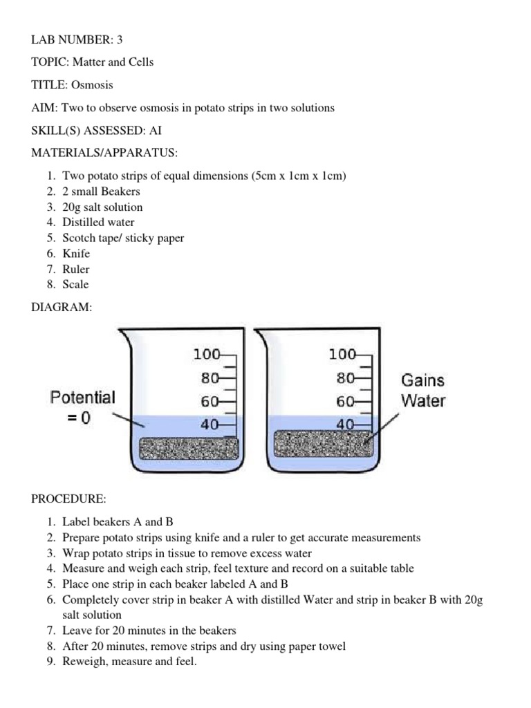 The Effects of Hypertonic and Hypotonic Solutions on Potato Strips An Experiment on Osmosis PDF