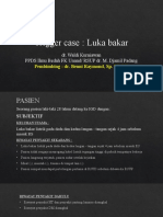 Trigger Case Waldi Luka Bakar