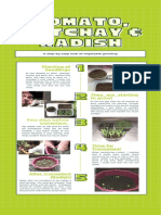 A Step-By-step Look of Vegetable Growing