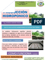 HIDROPONIA