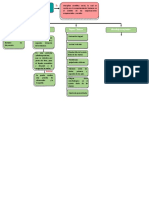 Mapa Conceptual Sindrome de Down