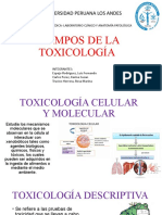 Campos de La Toxicología - Final
