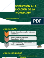 Normas Apa