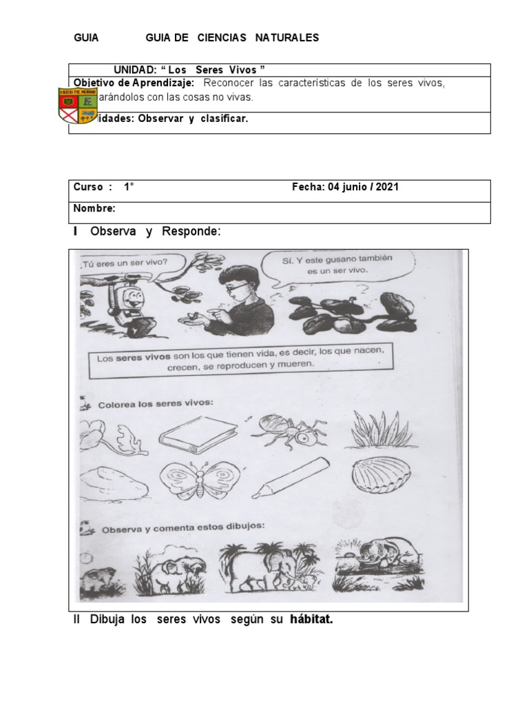 GUIA DE CIENCIAS NATURALES 1° básico Seres Vivos e inertes | PDF