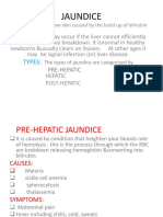 Jaundice: Types