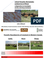 Developing diagnostics to investigate gastro-intestinal parasitic nematodes in bison