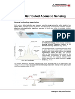 Flyer - DAS Distributed Acoustic Sensing