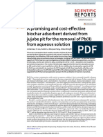 A Promising and Cost-Effective Biochar Adsorbent Derived From Jujube Pit For The Removal of PB (II) From Aqueous Solution