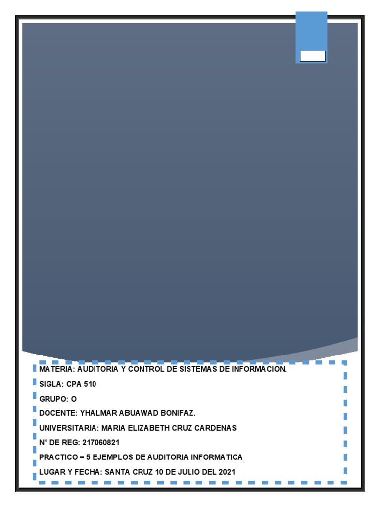 5 Ejemplos de Auditoria Informatica | PDF | Auditoría | Hardware de la ...