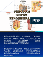 Fisiologi Panca Indera