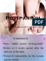 Post-Partum (New)