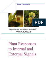 Plant Response