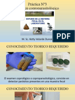 P3. Examen Coproparasitológico