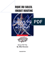 Cirque Du Soleil Workout Routine PDF