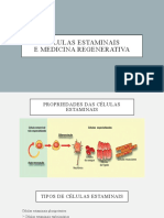 Células Estaminais na Medicina Regenerativa