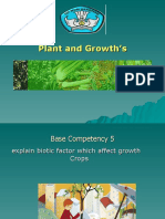 Plant N Growth 5