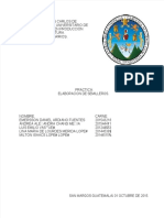 PDF Informe