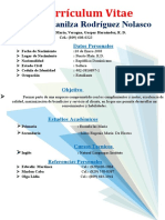 Curriculum Vitae Efrain Ortiz