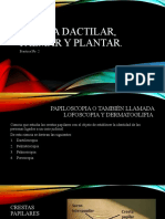 Reseña Dactilar, Palmar y Plantar ..