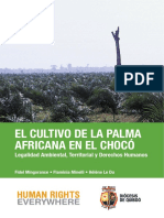 Cultivo de Palma Africana en El Choco