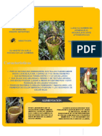 INFOGRAFIA PLANTA JARRA - Potx